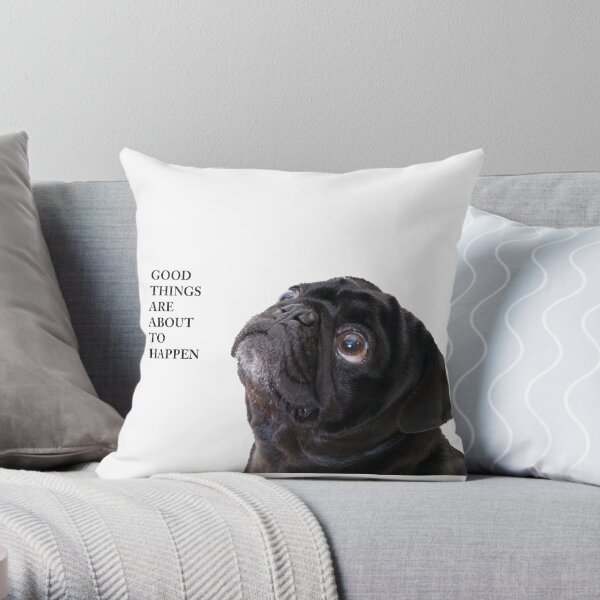 Bonnes choses carlin noir Coussin