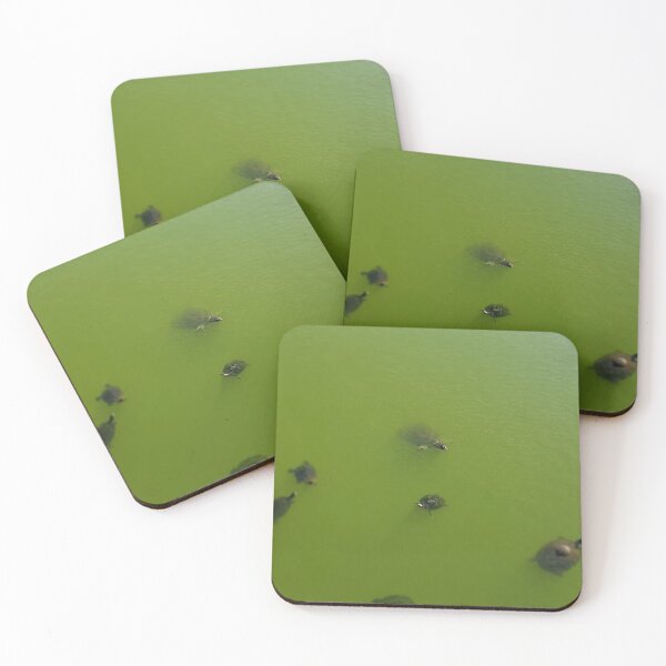 Item preview, A glimpse into turtle world designed and sold by Amanda Huggins.