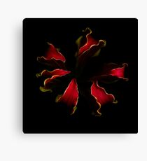 Glory Lily Canvas Print
