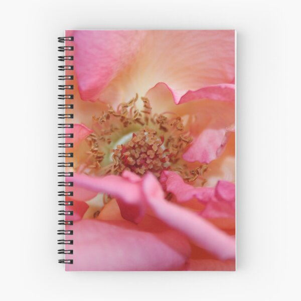 Item preview, Rose Centre designed and sold by AnnDixon.