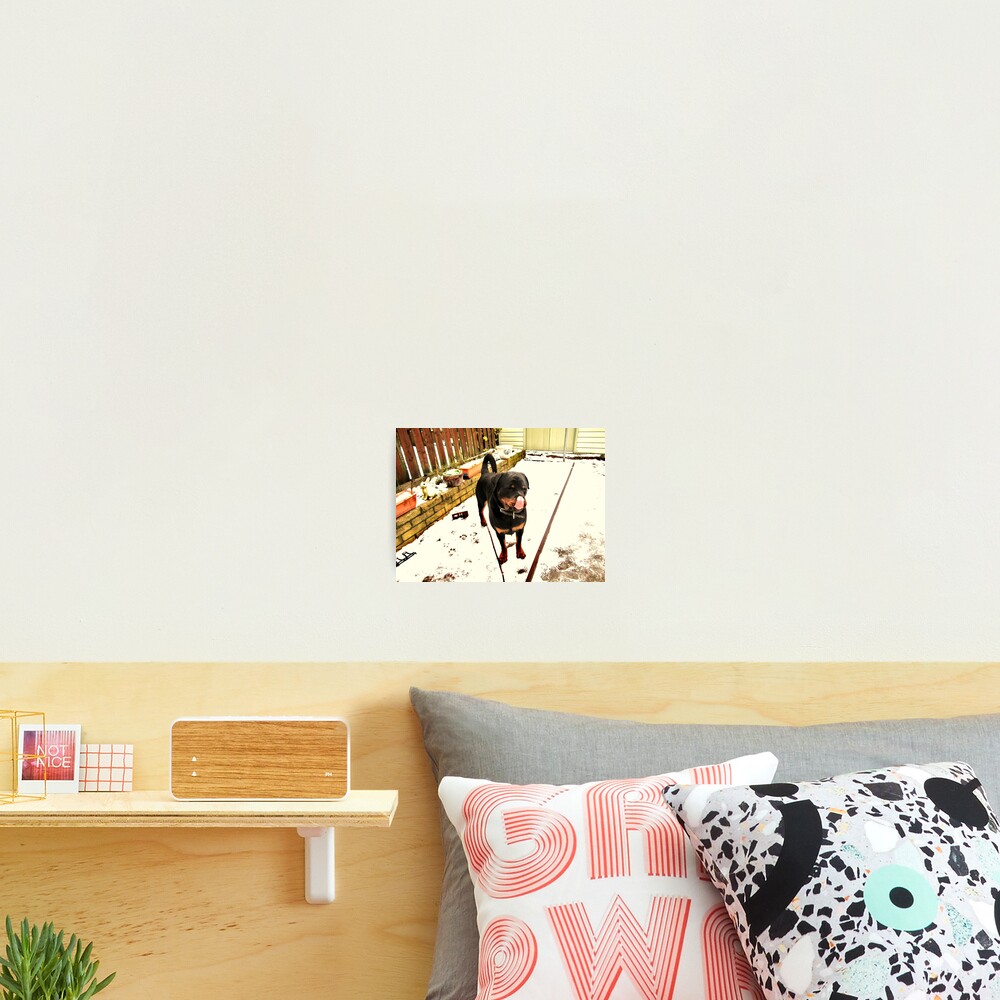 Item preview, Photographic Print designed and sold by Ladymoose.