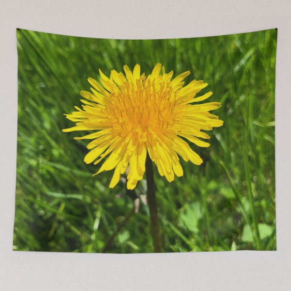 Item preview, Unwanted Beauty designed and sold by Trendature Online .