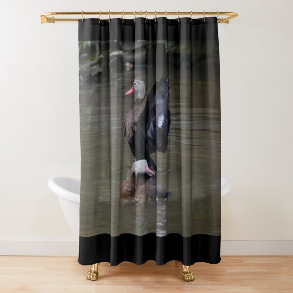 Item preview, Duck Drying Off designed and sold by Mike Ashley.