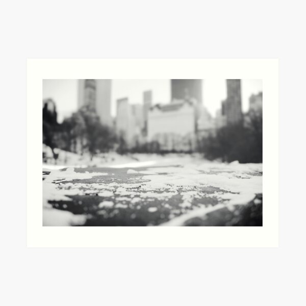 Snow in Central Park Art Print