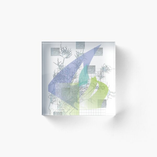 Seed pods Acrylic Block