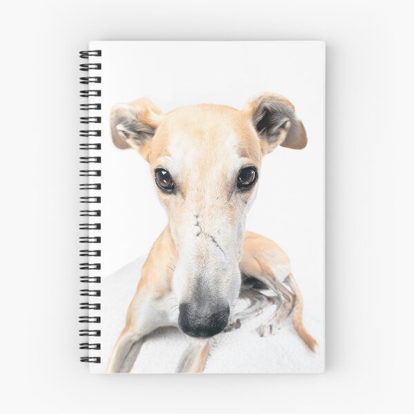Item preview, Fawn greyhound designed and sold by houndpixnz.