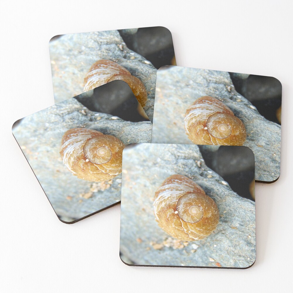 Item preview, Coasters (Set of 4) designed and sold by KathleenDawson.