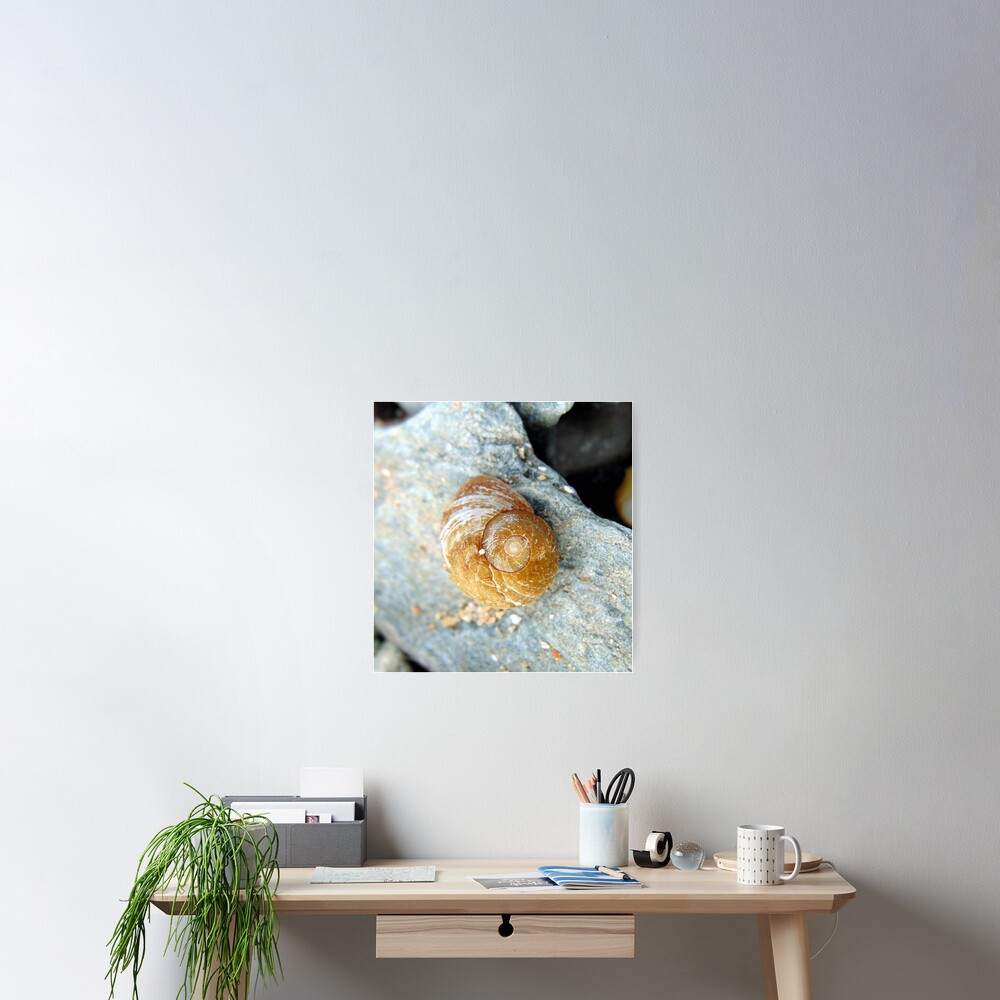Item preview, Poster designed and sold by KathleenDawson.