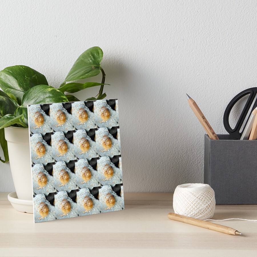 Item preview, Art Board Print designed and sold by KathleenDawson.