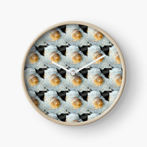 Item preview, shell designed and sold by KathleenDawson.
