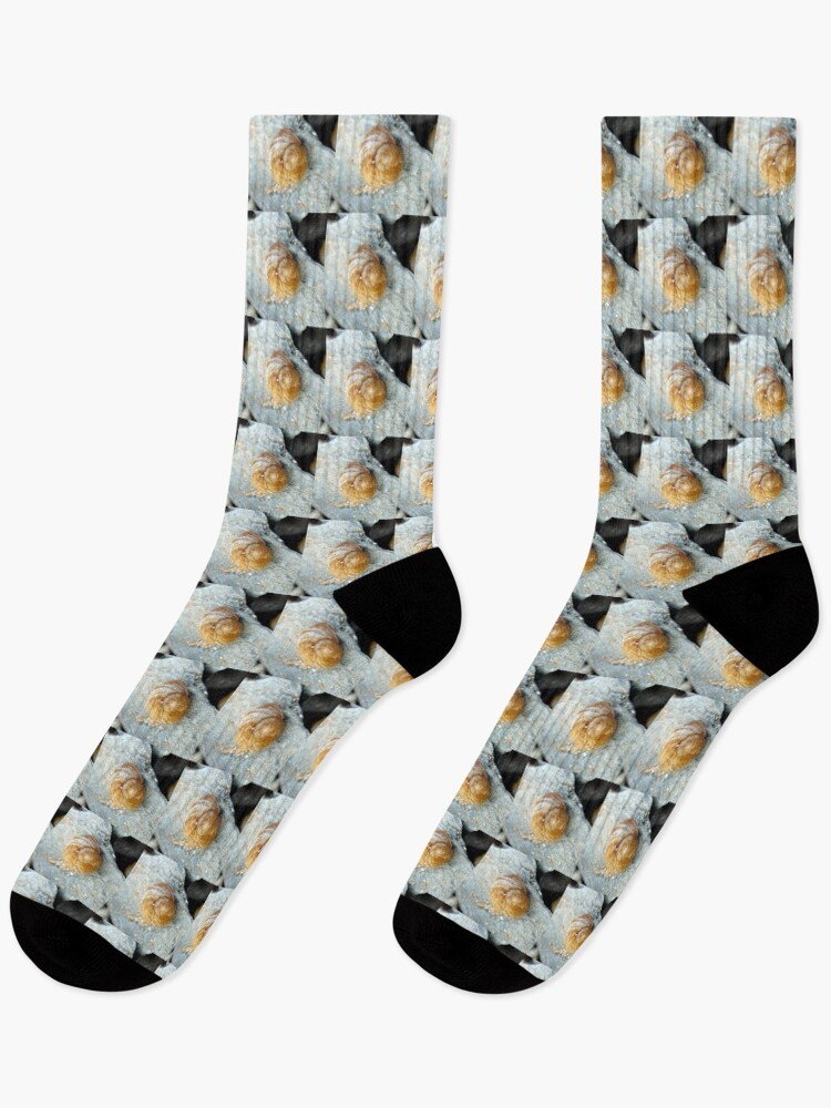 Thumbnail 1 of 5, Socks, shell designed and sold by KathleenDawson.