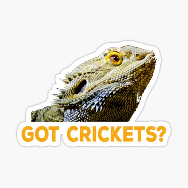 Item preview, Got Crickets  Bearded Dragon Lizard  designed and sold by kayelex.