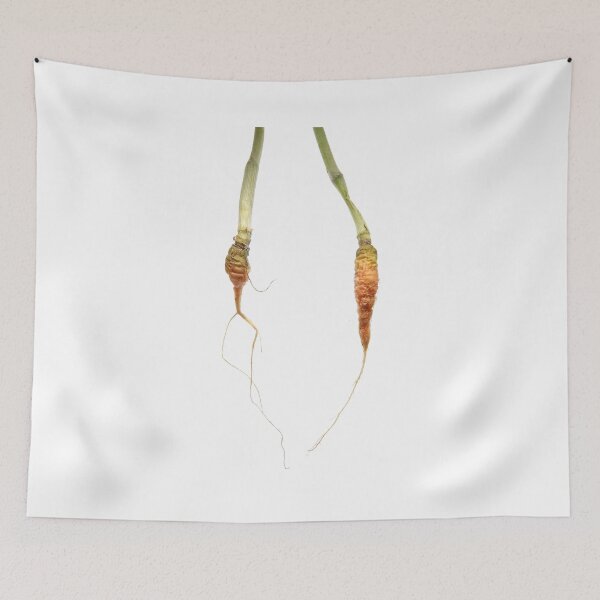Item preview, Sad carrots designed and sold by SDym Photography.
