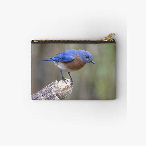 Item preview, Eastern Bluebird designed and sold by Enola Gay Wagner.