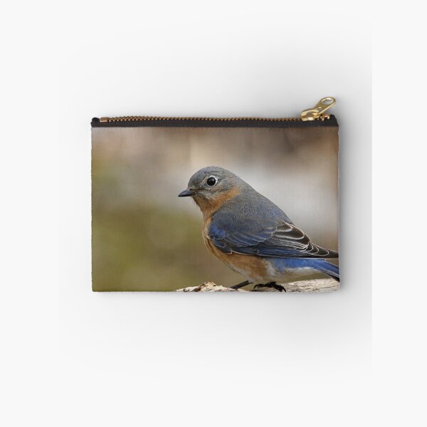 Item preview, Eastern Bluebird designed and sold by Enola Gay Wagner.