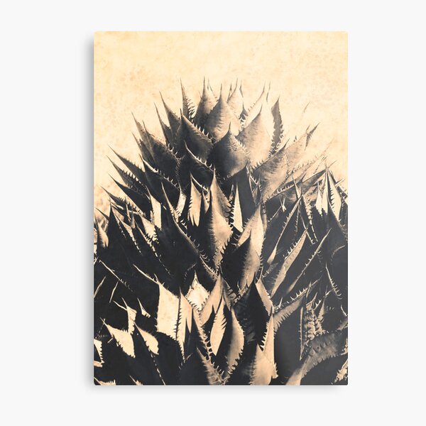 Ascendant Metal Print