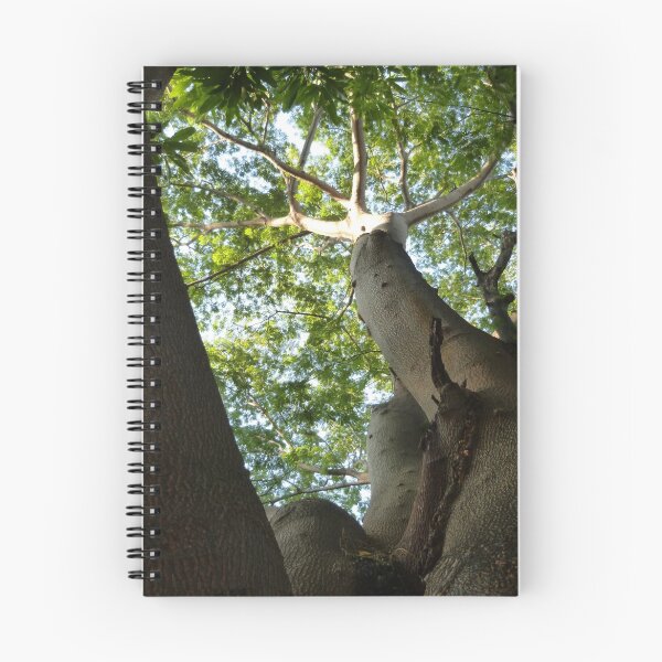 Item preview, jungle tree - arbol de la selva designed and sold by Bernhard Matejka.