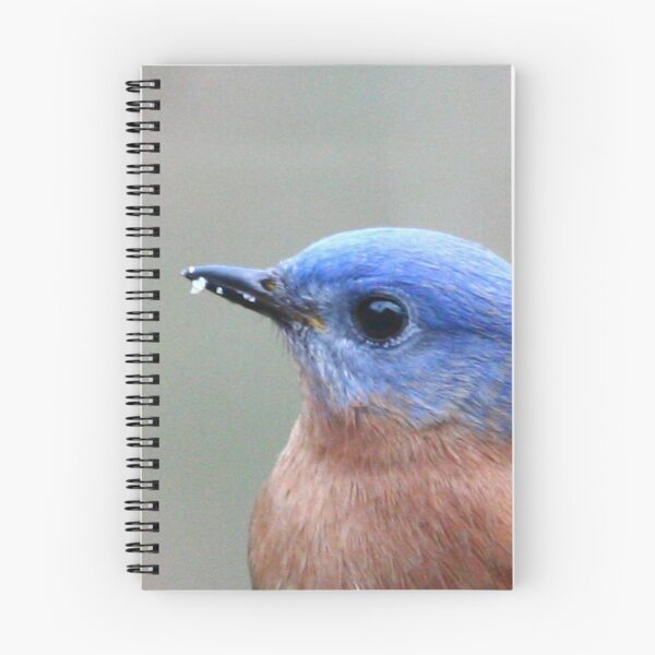 Item preview, Eastern Bluebird designed and sold by Enola Gay Wagner.