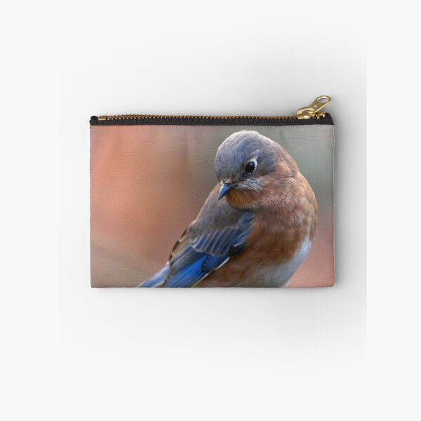 Item preview, Eastern Bluebird designed and sold by Enola Gay Wagner.