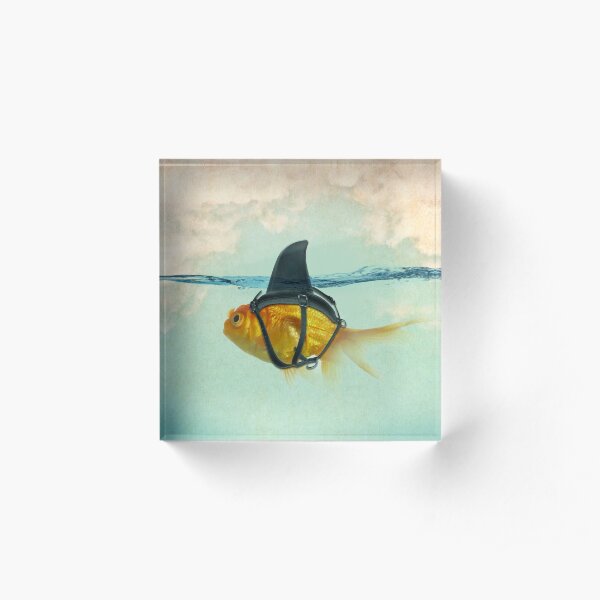 brilient disguise, goldfish with a shark fin Acrylic Block