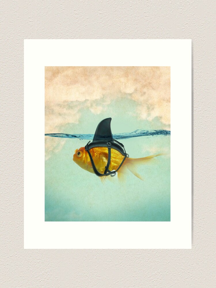 Alternate view of Brilliant Disguise, Goldfish with a Shark Fin Art Print