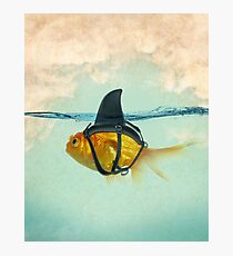 brilient disguise Photographic Print