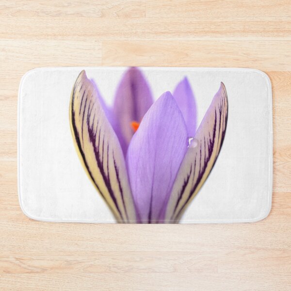 Item preview, Crocus corsicus  AGM	  Corsican crocus   designed and sold by Chris Burrows.