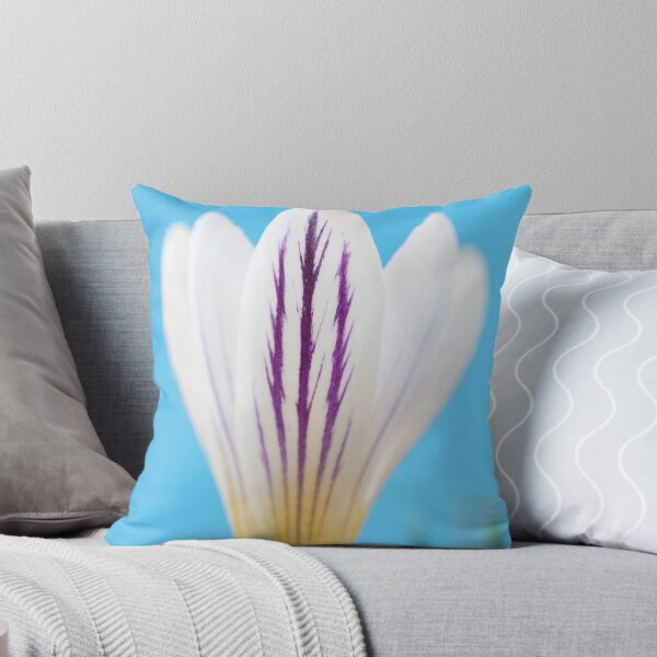 Item preview, Crocus versicolor  'Picturatus'   designed and sold by Chris Burrows.