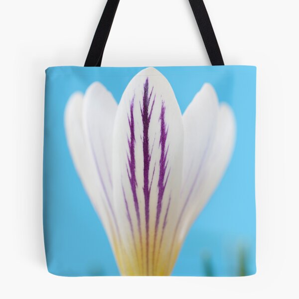 Item preview, Crocus versicolor  'Picturatus'   designed and sold by Chris Burrows.