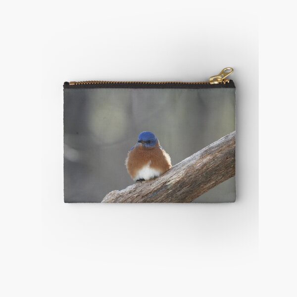 Item preview, Eastern Bluebird designed and sold by Enola Gay Wagner.