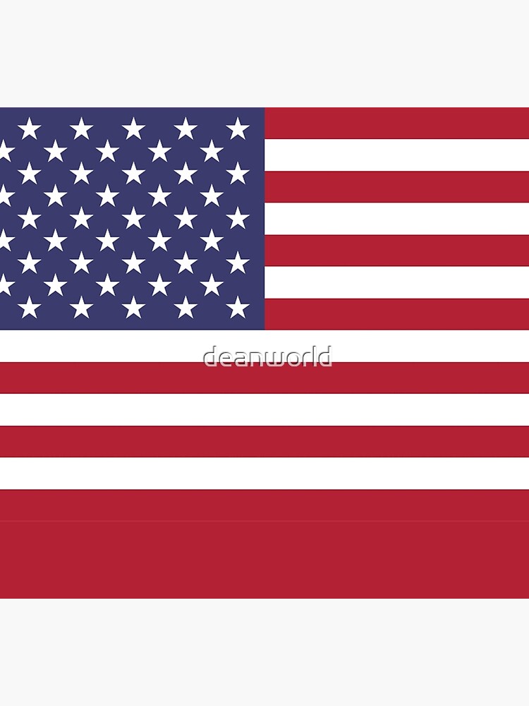 American Flag, USA, Stripes with State Names DESIGN ON BACK Raglan Baseball  Tee