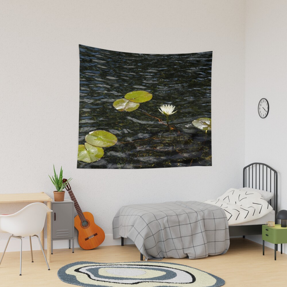 Low Key Enigma - White Water Lily Emerging from Silky Depths Art Print for  Sale by Georgia Mizuleva