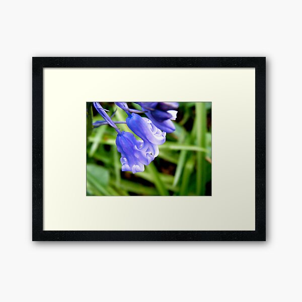The Gifts of 2010 Framed Art Print