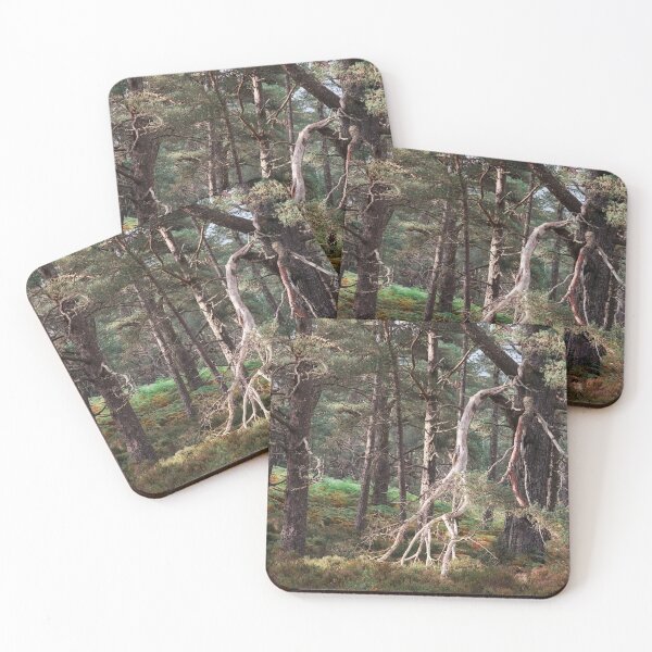 Item preview, Black Woods of Rannoch: Some Trees 1 designed and sold by ShinyPhoto.