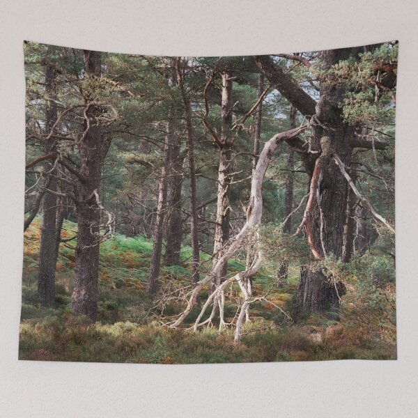 Item preview, Black Woods of Rannoch: Some Trees 1 designed and sold by ShinyPhoto.