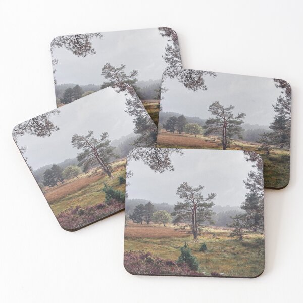 Item preview, Black Woods of Rannoch: Some Trees 2 designed and sold by ShinyPhoto.