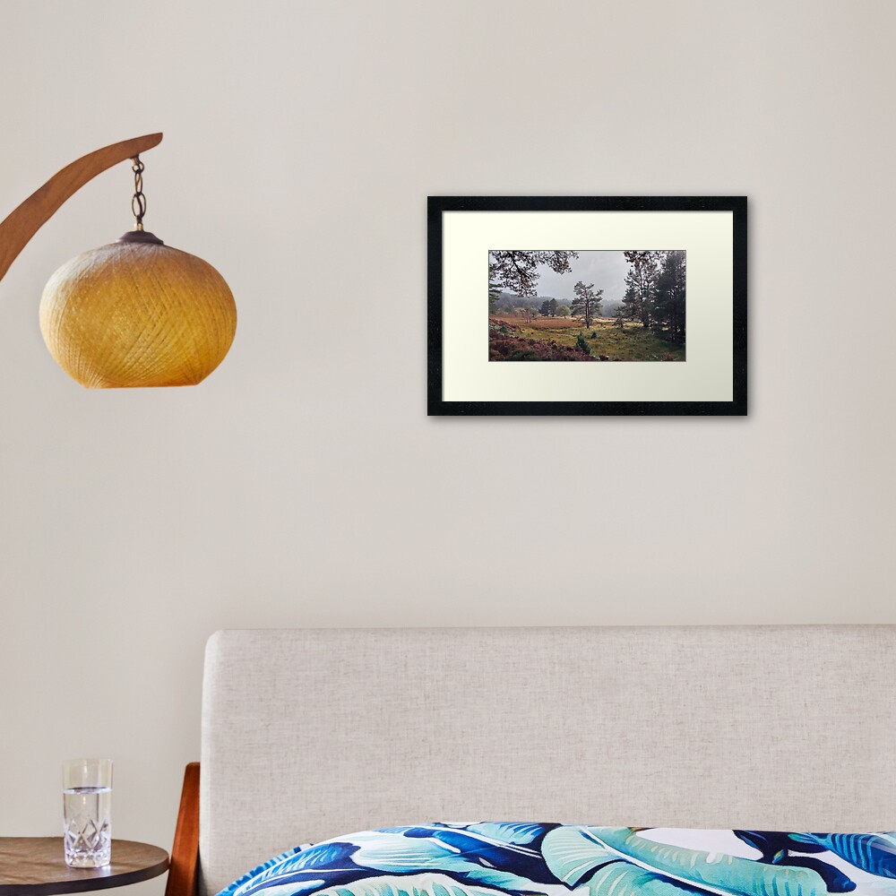 Black Woods of Rannoch: Some Trees 2 Framed Art Print