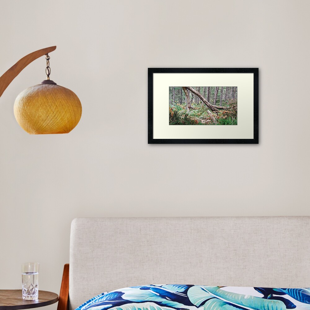 Black Woods of Rannoch: Some Trees 3 Framed Art Print