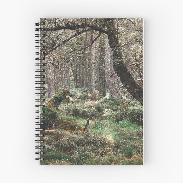 Item preview, Black Woods of Rannoch: Some Trees 4 designed and sold by ShinyPhoto.