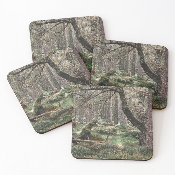 Item preview, Black Woods of Rannoch: Some Trees 4 designed and sold by ShinyPhoto.