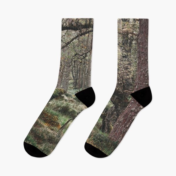 Item preview, Black Woods of Rannoch: Some Trees 4 designed and sold by ShinyPhoto.