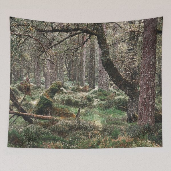 Item preview, Black Woods of Rannoch: Some Trees 4 designed and sold by ShinyPhoto.