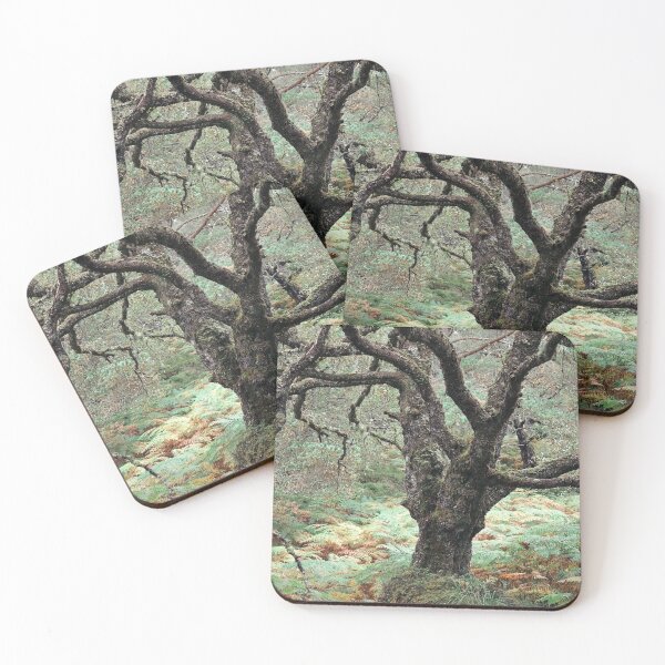 Item preview, Black Woods of Rannoch: Some Trees 5 designed and sold by ShinyPhoto.
