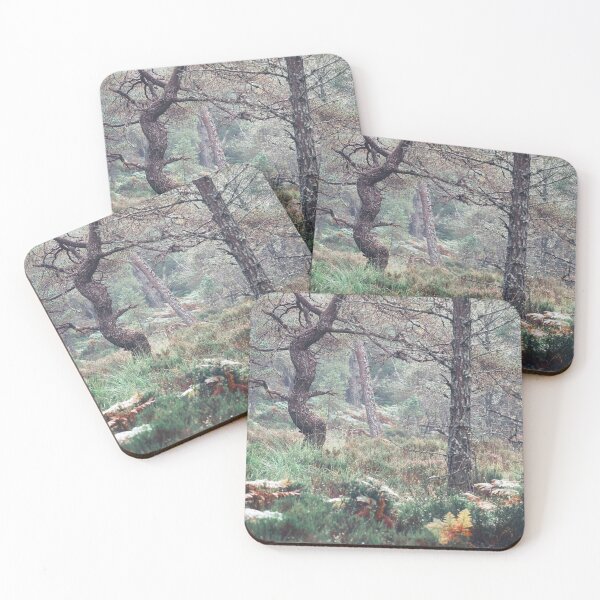 Item preview, Black Woods of Rannoch: Some Trees 6 designed and sold by ShinyPhoto.