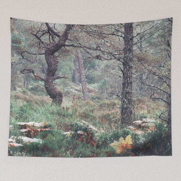Item preview, Black Woods of Rannoch: Some Trees 6 designed and sold by ShinyPhoto.