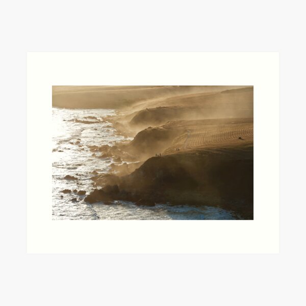 Item preview, Petrel Cove designed and sold by Bill  Robinson.