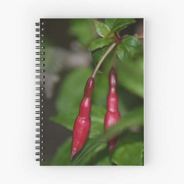 Item preview, Fuschia Buds designed and sold by Caroline Everett.
