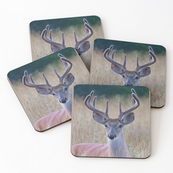 Item preview, White-tailed Buck designed and sold by James Cumming.