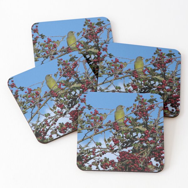 Item preview, A Greenfinch designed and sold by Sharon Perrett.
