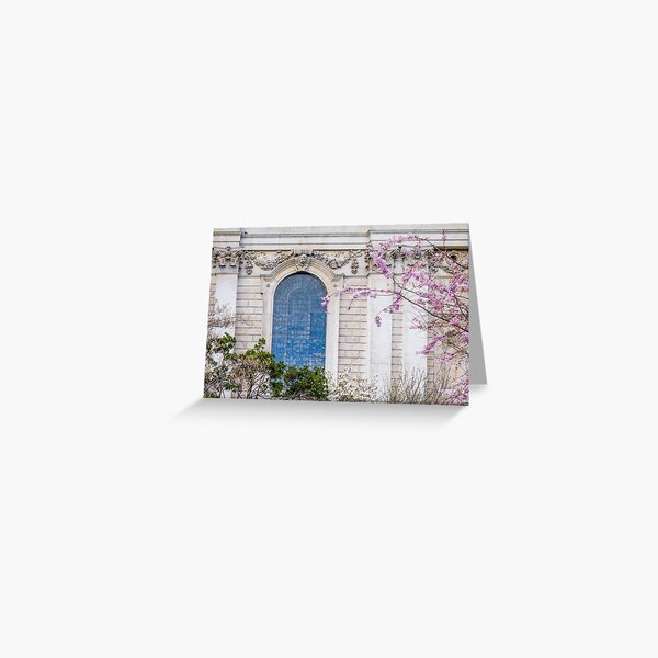 Item preview, St Pauls Blossom  designed and sold by AMoncurPhoto.